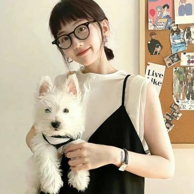 石纪元第四季